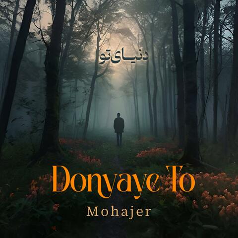 Donyaye To album art