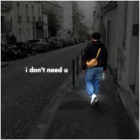 I Don't Need U album art