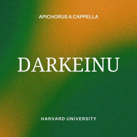 Darkeinu album art