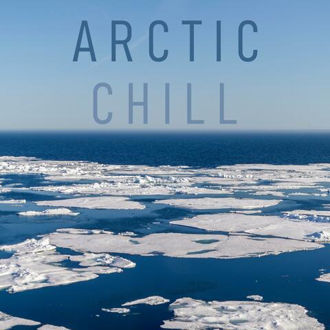 Arctic Chilling 2 album art