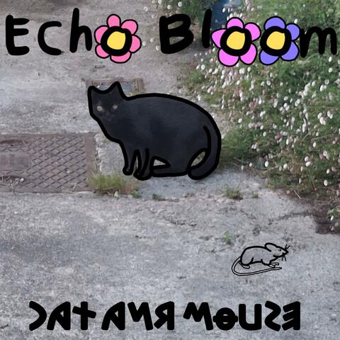 Cat and Mouse album art