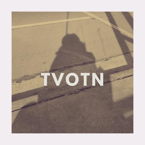 The Voice Of The Noise album art