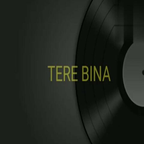 Tere Bina album art