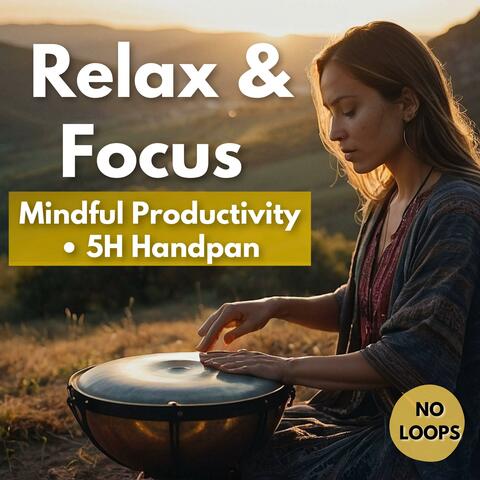 Handpan Focus album art