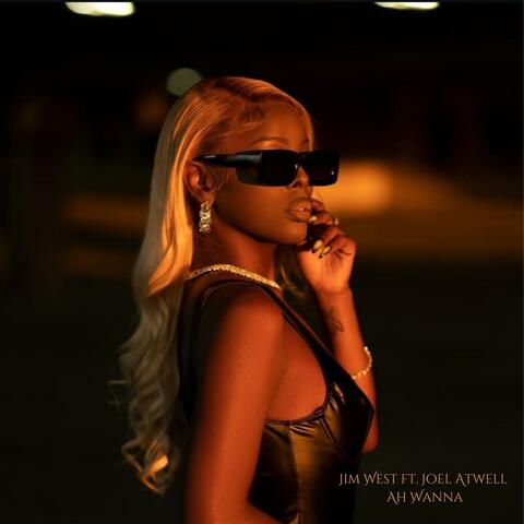 Ah Wanna (feat. Joel Atwell) album art