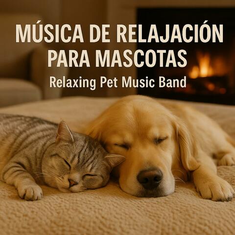 Música de Relajación para Mascotas album art
