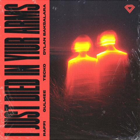 (I Just) Died in Your Arms album art