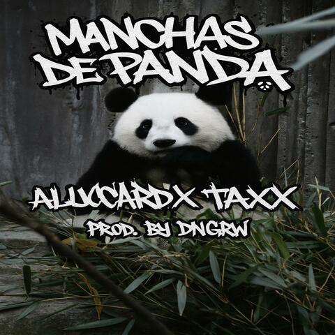Manchas de panda album art