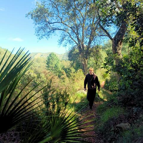 Presa Fácil album art