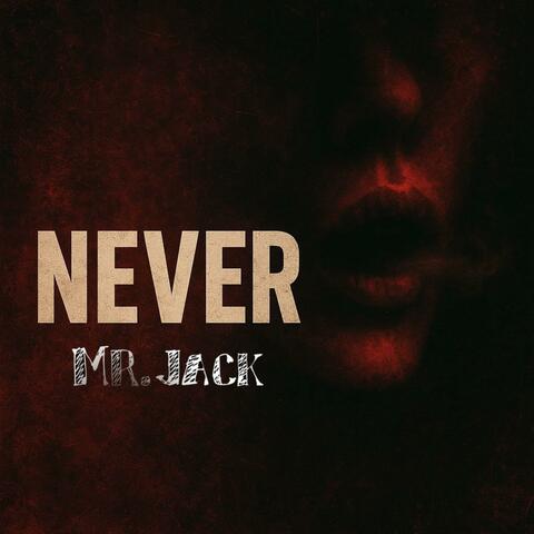 Never album art