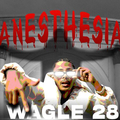 WAGLE 28 album art