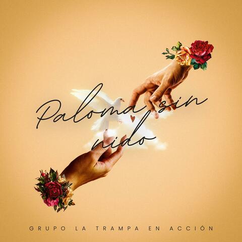 Paloma sin nido album art