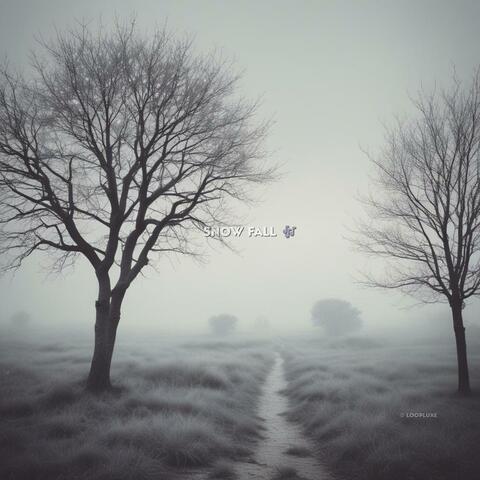 Snow fall album art
