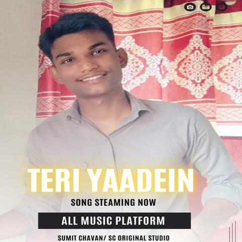Teri yaadein (feat. Sumit Chavan) album art