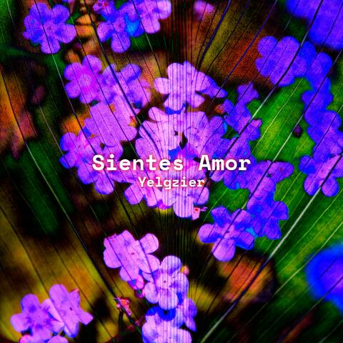 Sientes Amor album art