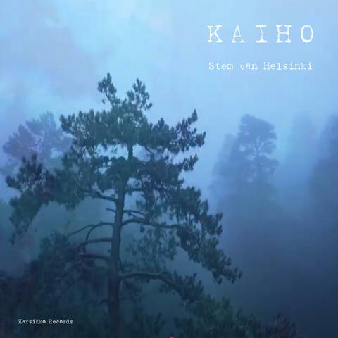 Kaiho (with VP Hämäläinen) album art