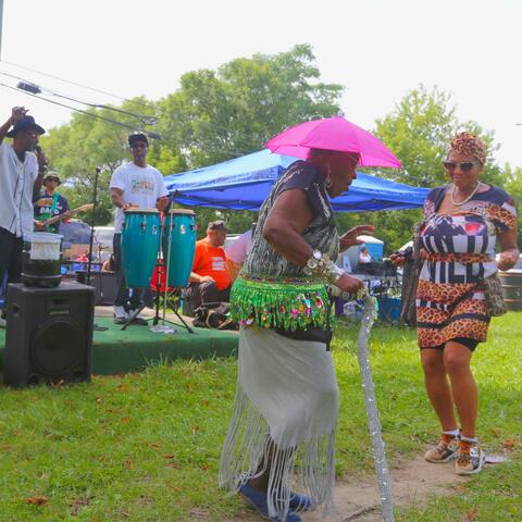 Blues in the Park in Detroit album art