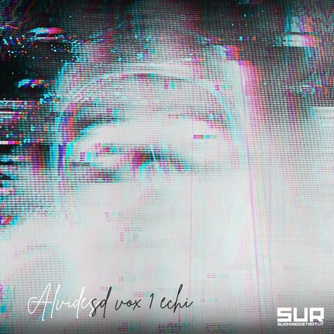 SD Vox1 Echi album art