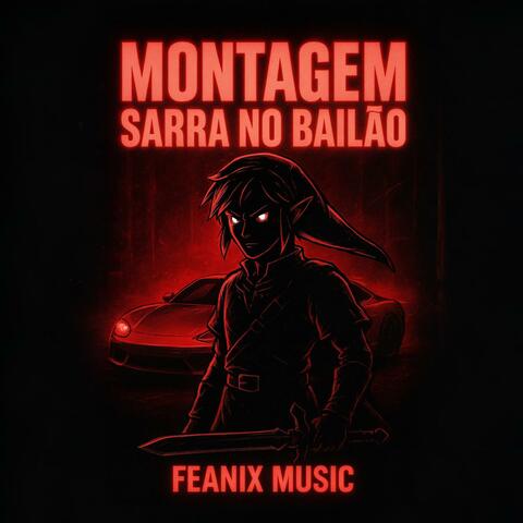 MONTAGEM SARRA NO BAILÃO album art