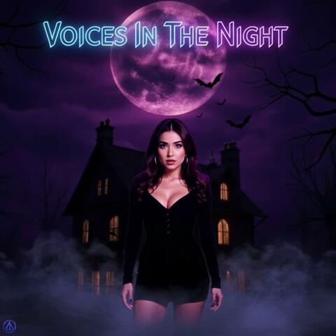 Voices In The Night album art