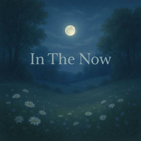 In The Now album art