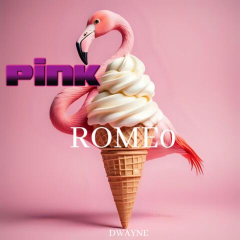 PINK ROMEO album art