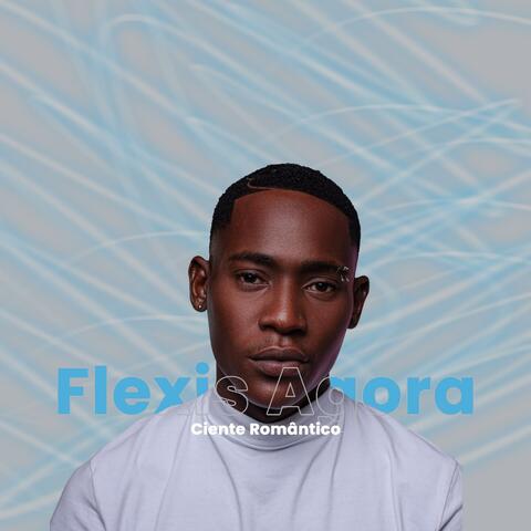 Flexis Agora album art