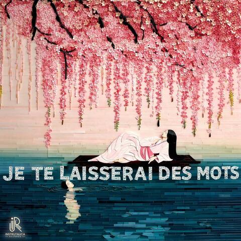 Je Te Laisserai Des Mots album art