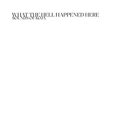 what the hell happened here ? album art