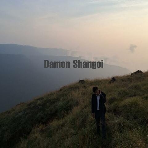 Damon Shangoi album art