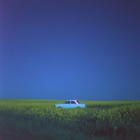 night is kind album art