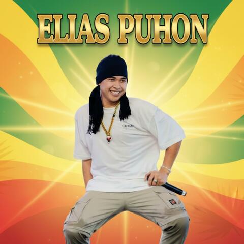 Elias Puhon album art