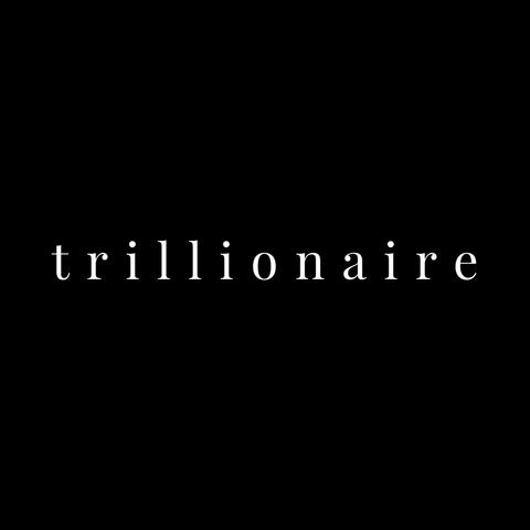 trillionaire album art