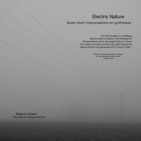 Electric Nature album art