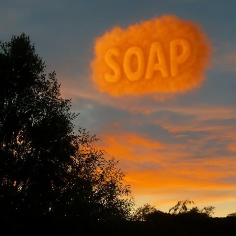 Leaves dance in The Wind, glisten in The Evening Sky album art