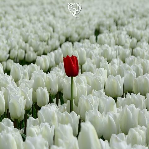 Nexxo, Vol. 1 album art