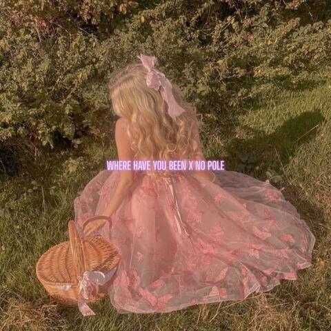 Where Have You Been x No Pole album art