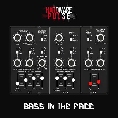 Bass In The Face album art