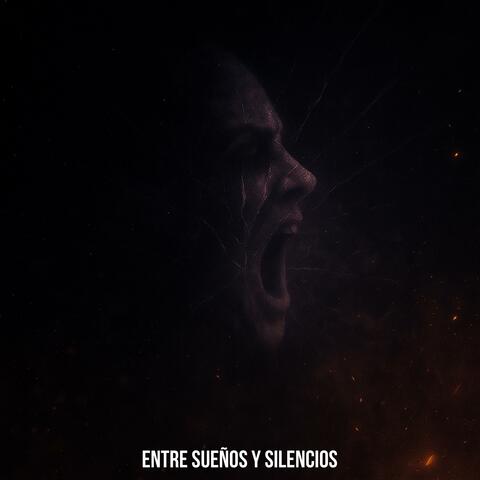 Entre sueños y silencios album art