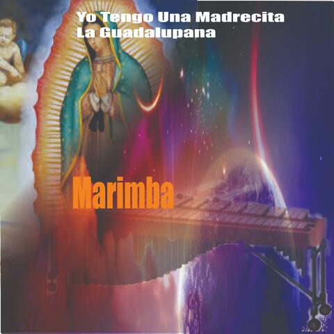 Madrecita album art