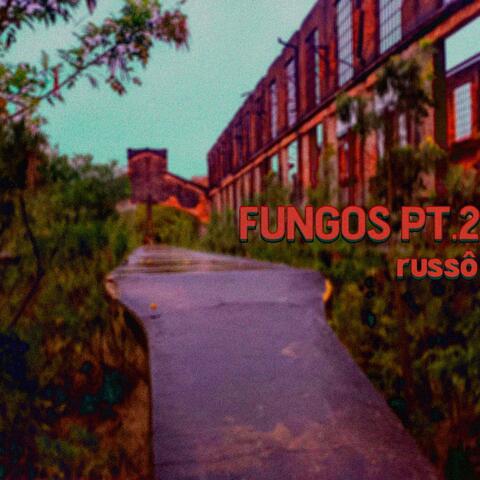 Fungos, Pt. 2 album art