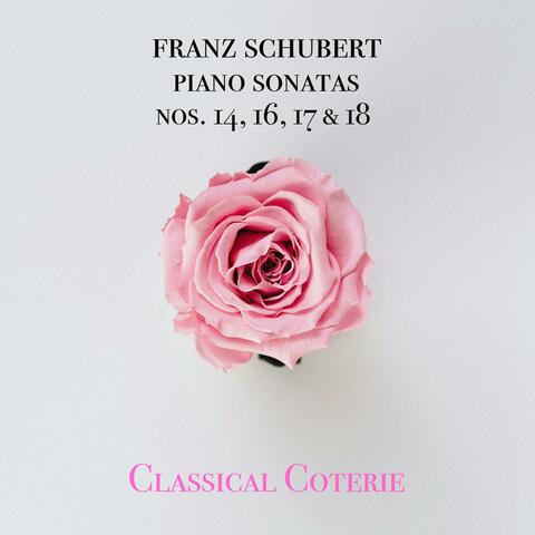 Franz Schubert Piano Sonatas Nos. 14, 16, 17 & 18 album art