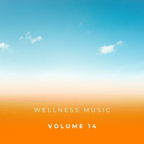 Wellness Music Vol. 14 album art