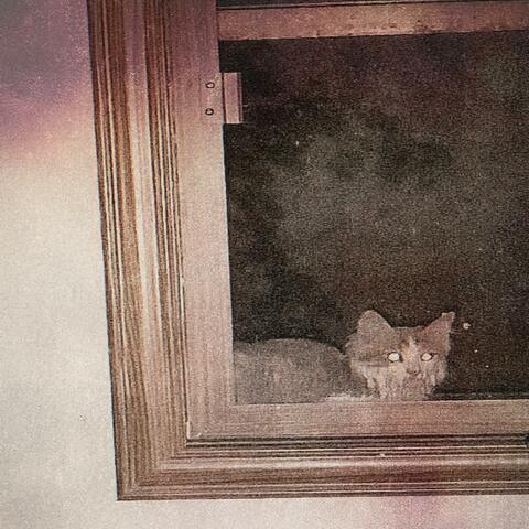 arachnophobia album art