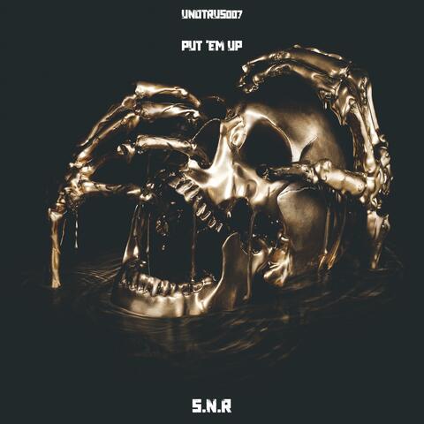 PUT 'EM UP album art