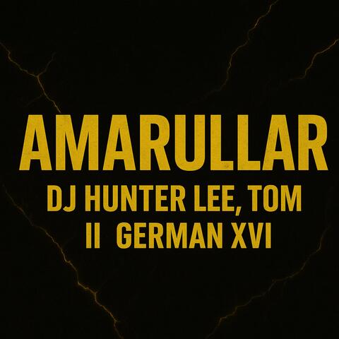 AmaRullar (feat. Tom II) [with German XVI] album art