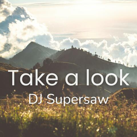 Take a look album art