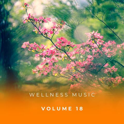 Wellness Music Vol. 18 album art