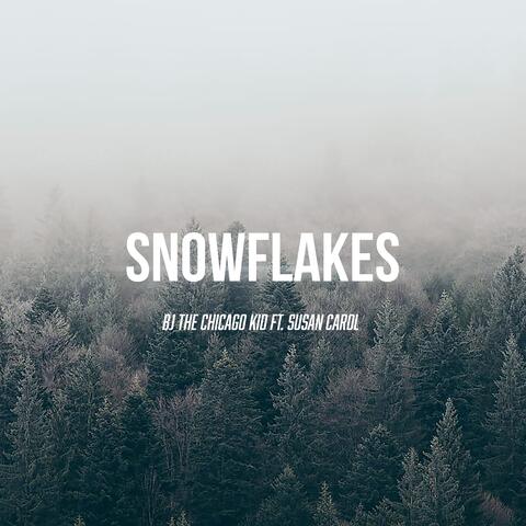Snowflakes album art