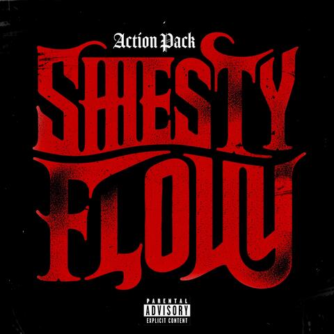 Shiesty Flow album art